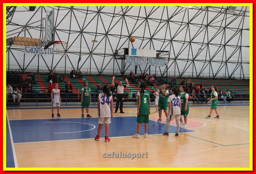 140301 GM_basket 234_tn.jpg